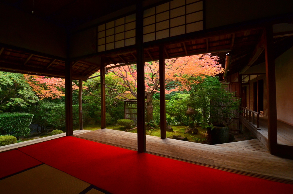 妙心寺桂春院・侘の庭３