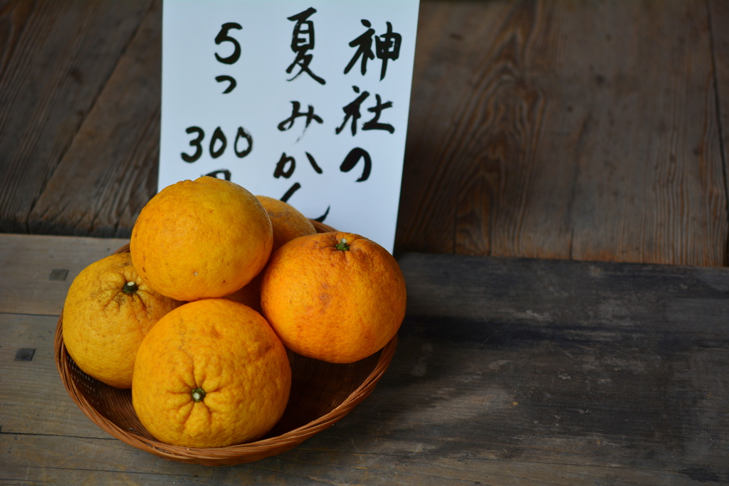 神社の夏みかん