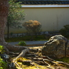 妙心寺天球院・庭園