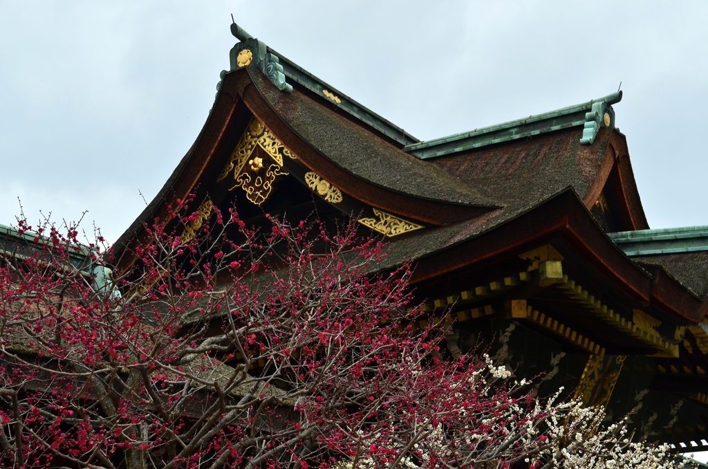北野天満宮三光門