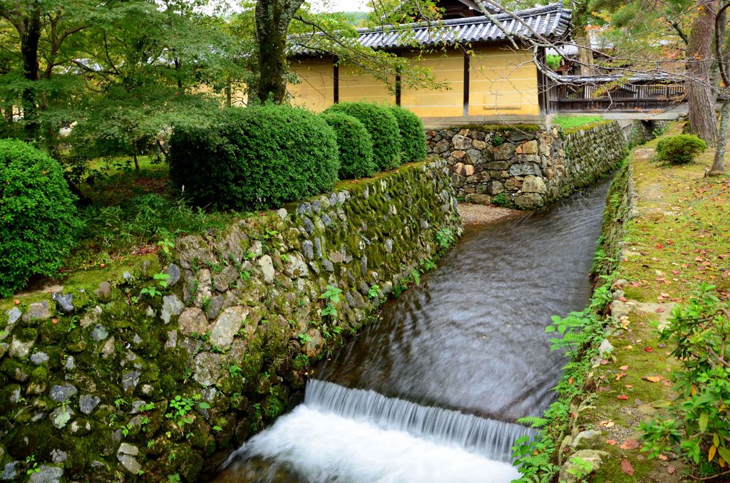 大覚寺の水路２