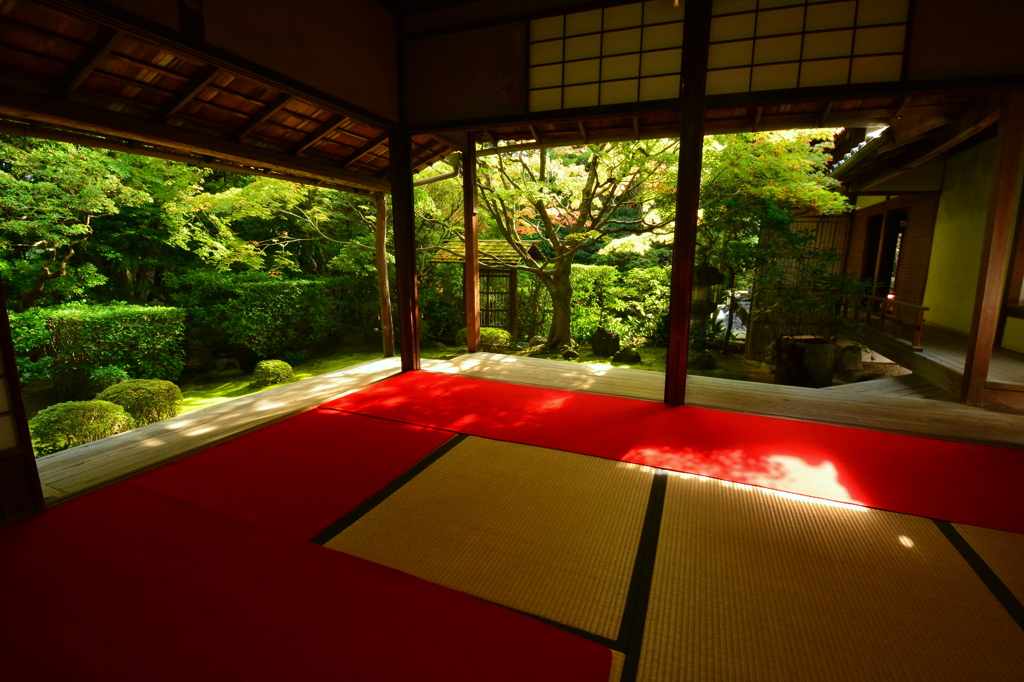 妙心寺桂春院・侘の庭６