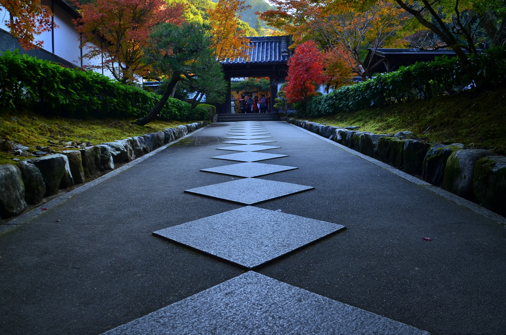 最勝院高徳庵・参道３