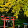 岩戸落葉神社の秋・令和１