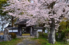 丹波国分寺跡