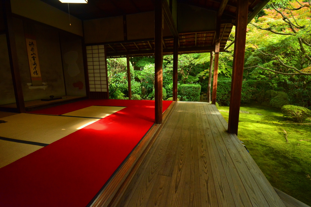 妙心寺桂春院・侘の庭５