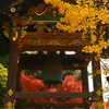 西本願寺鐘楼の紅葉２