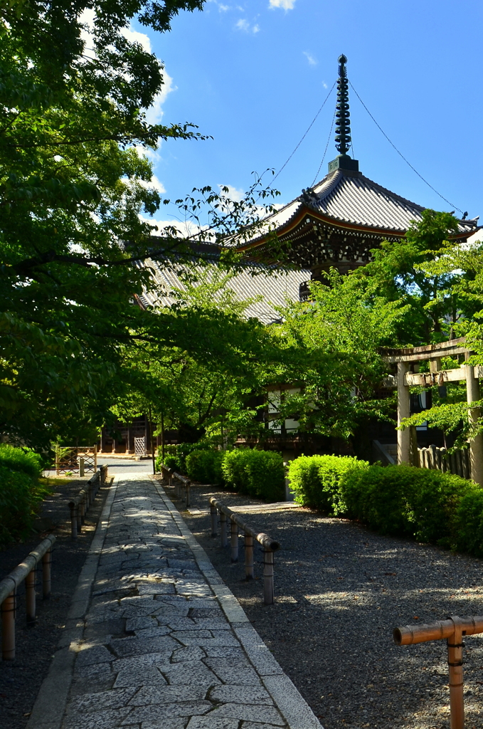 本法寺の夏