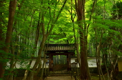 地蔵院・総門