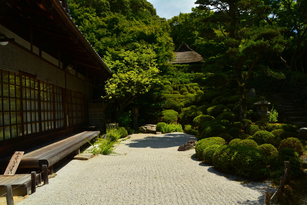 金福寺庭園・晩夏