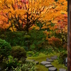 高桐院書院の紅葉