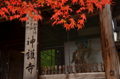 神護寺・山門