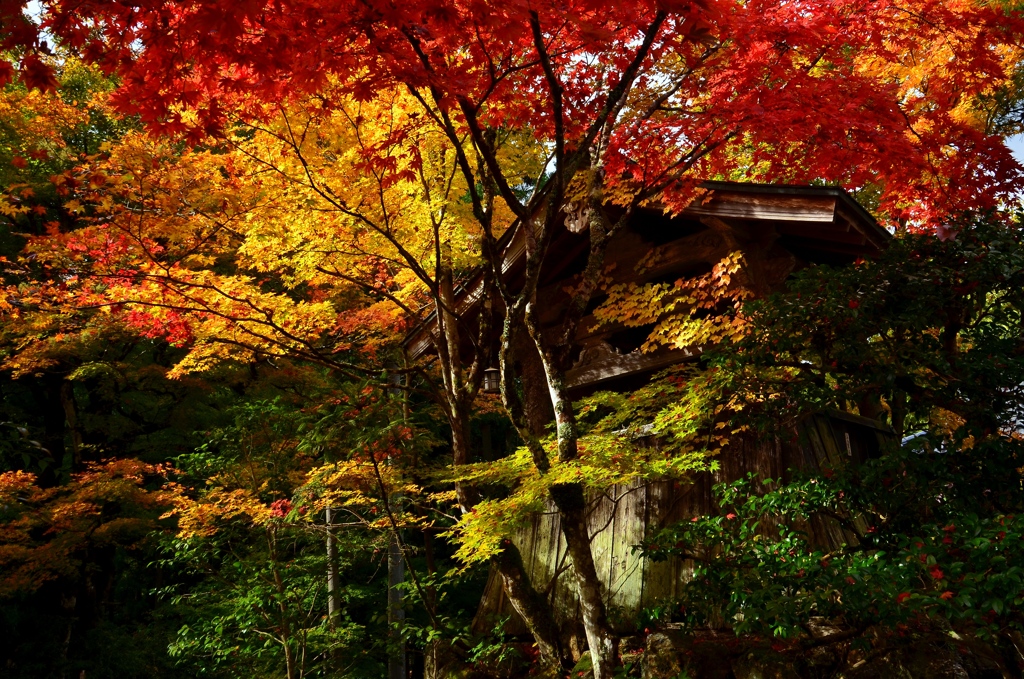 常照皇寺・鐘楼