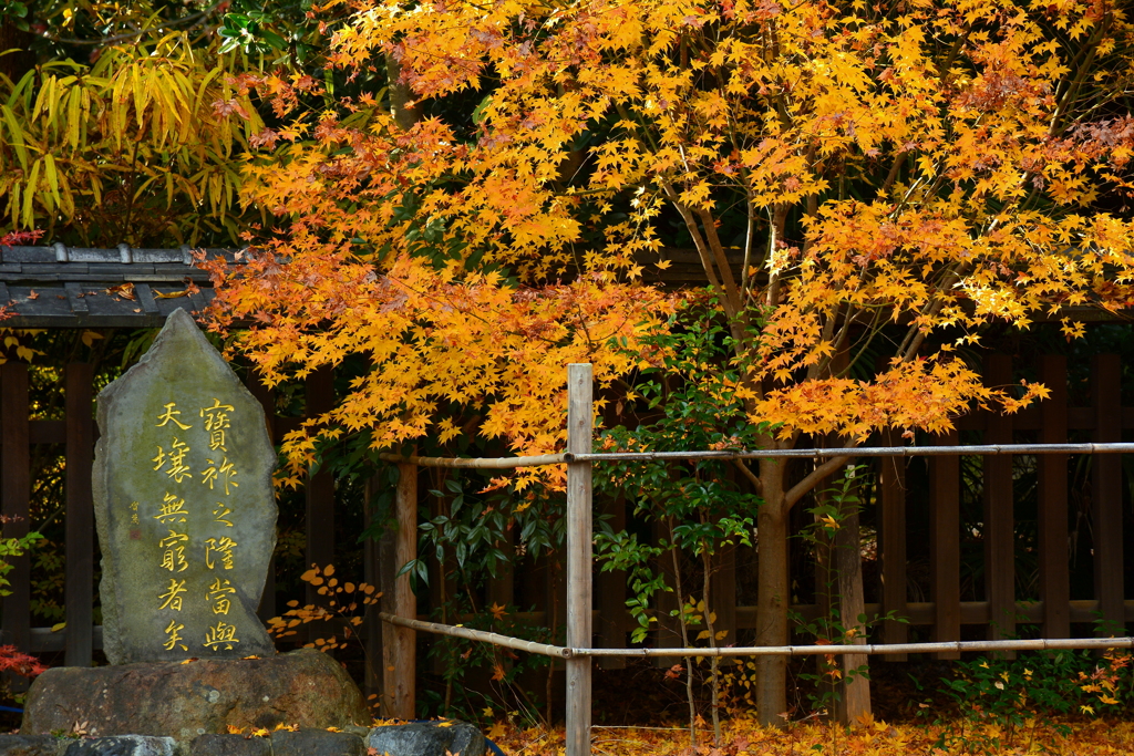 梨木神社の初冬