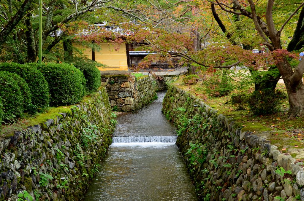 大覚寺の水路１