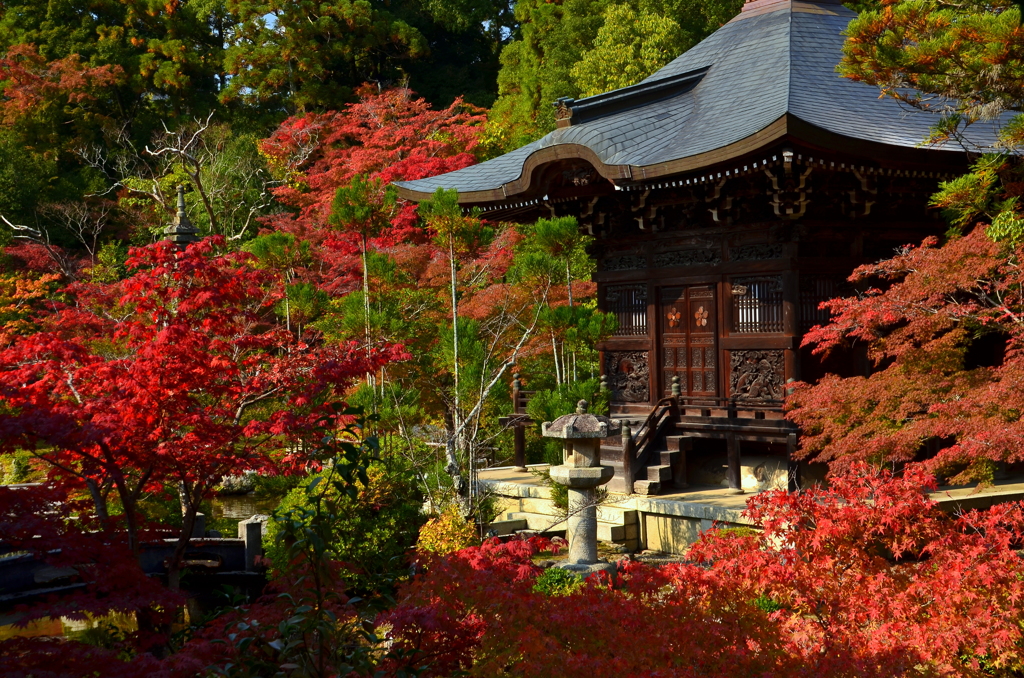 清涼寺・弁天堂