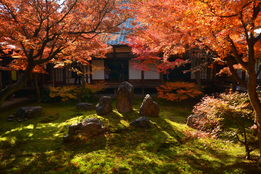 建仁寺・潮音庭の初冬４