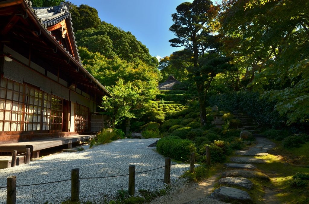 金福寺庭園・初秋