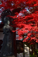 妙心寺霊雲院