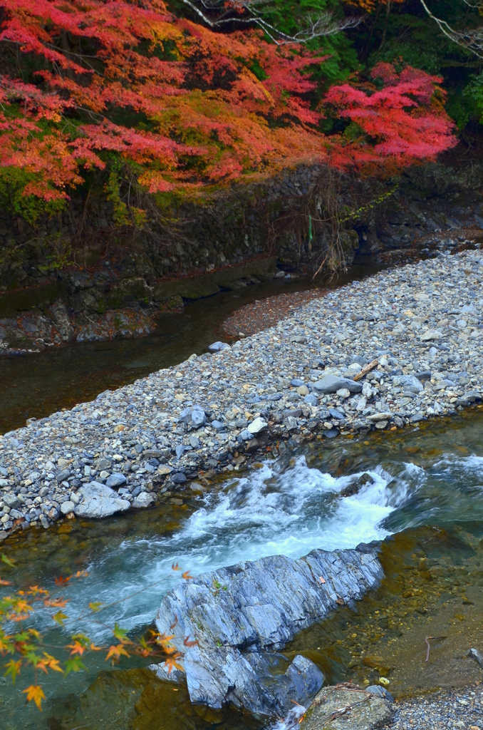 高雄・清滝川の紅葉２