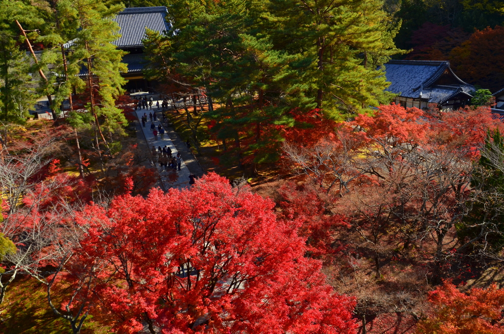 南禅寺三門からの展望