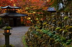 愛宕念仏寺・錦秋２