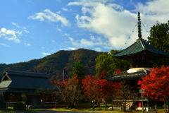 清涼寺多宝塔の紅葉