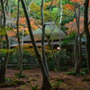 初冬の祇王寺５