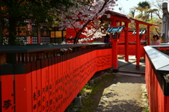 芸能神社の玉垣と桜２