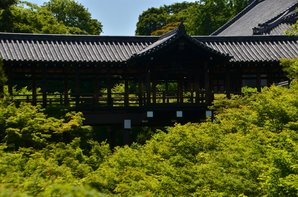 東福寺・通天橋１