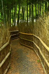 直指庵・順路の雰囲気１