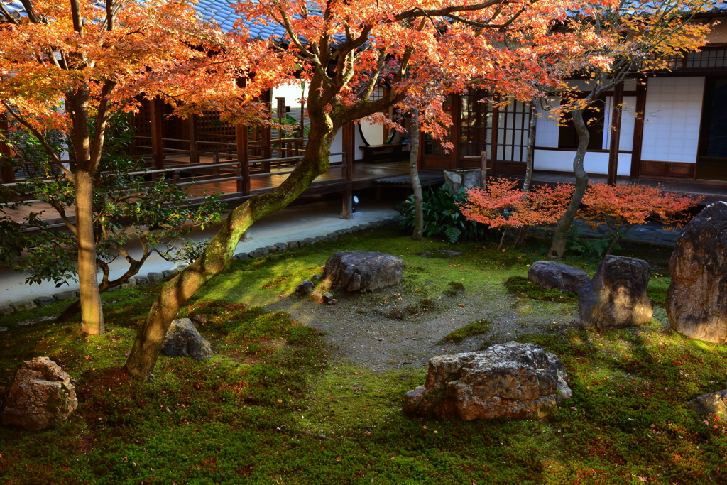 建仁寺・潮音庭の冬２