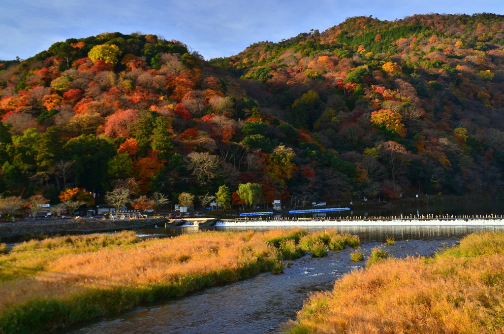 嵐山・晩秋