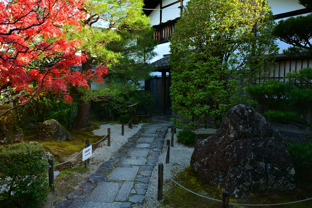 妙心寺桂春院参道の紅葉