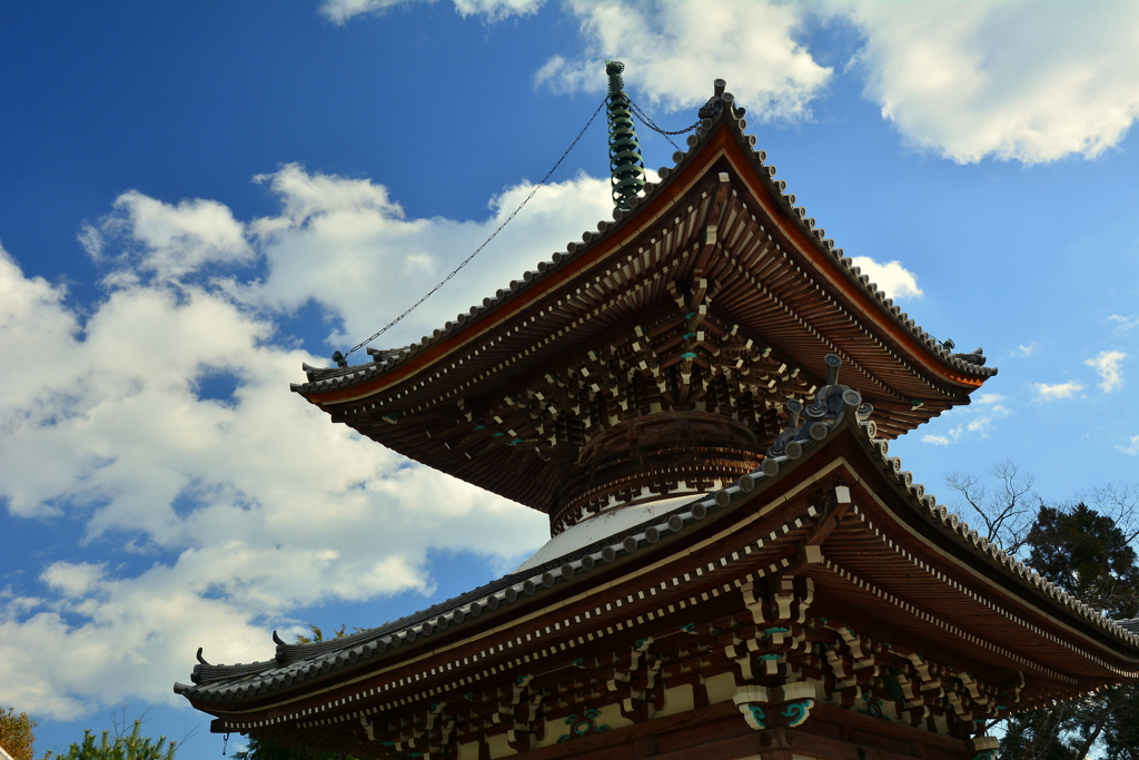 本法寺・多宝塔と冬の空２