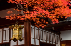 車折神社の紅葉