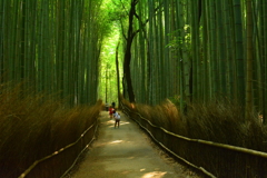 嵯峨野・竹林の道２