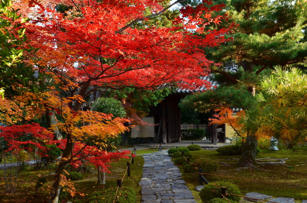 鹿王院・庫裏より