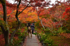 宝筐院の紅葉１