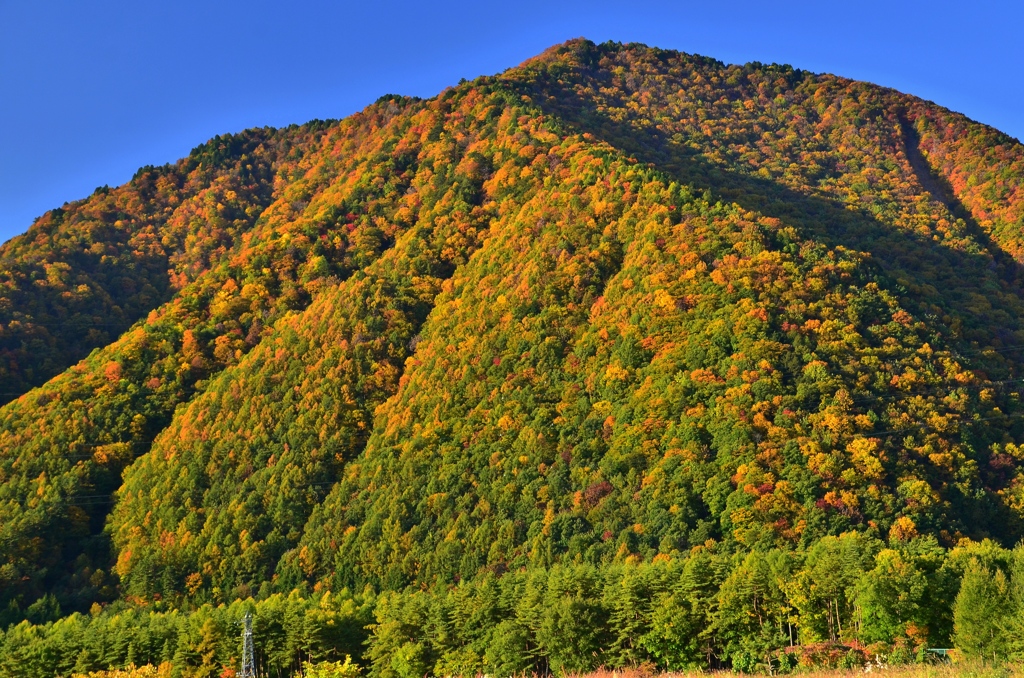 蓮華岳の麓・朝・快晴