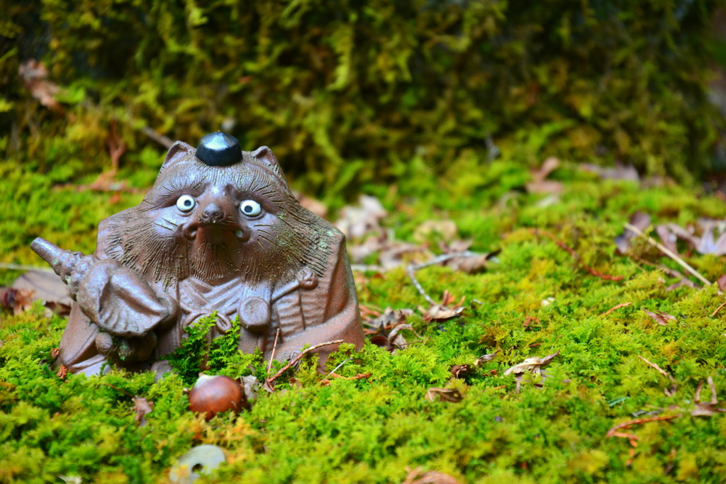 ドングリのお供え