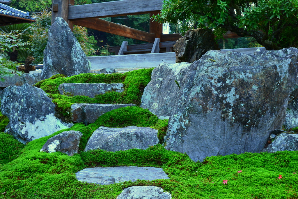 宇治興聖寺・鐘楼の石段