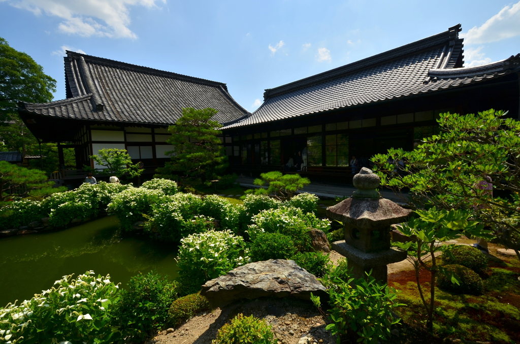 建仁寺両足院・庭園３