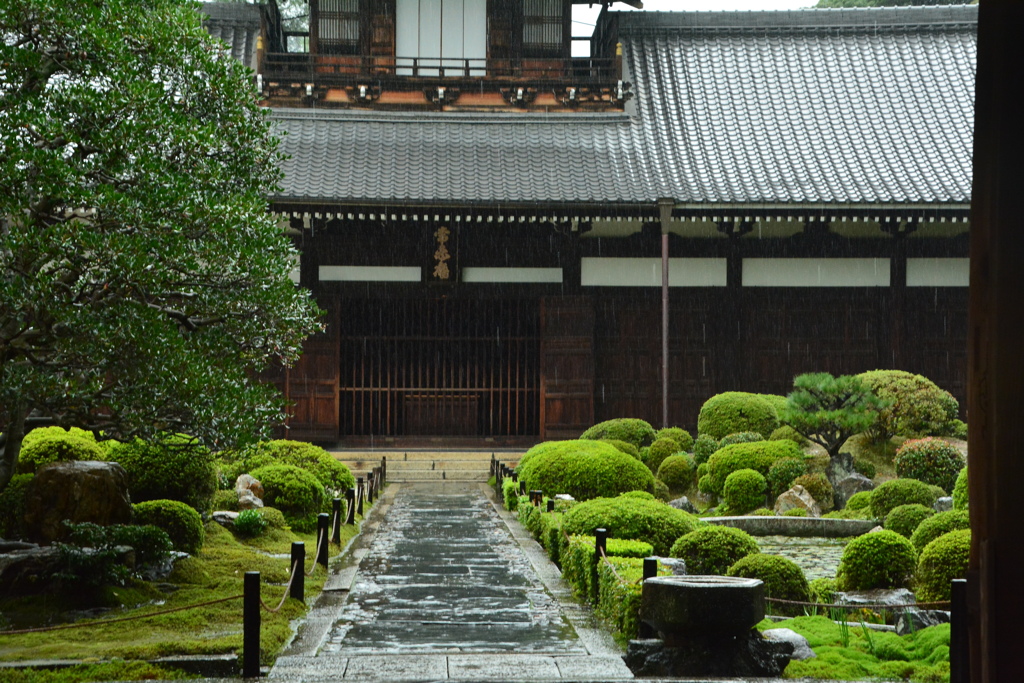 雨の東福寺・開山堂１