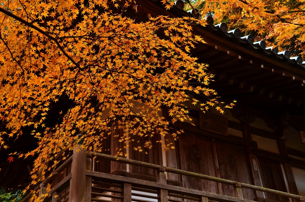 愛宕念仏寺・地蔵堂２