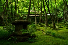 新緑の祇王寺２