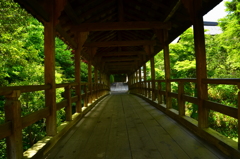東福寺・偃月橋２