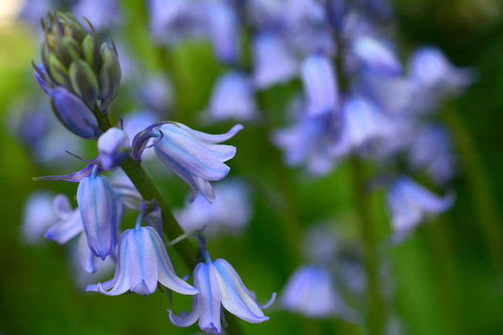 ストライプの風鈴