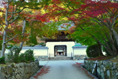 宇治興正寺・山門