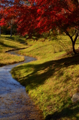 平安郷の秋・小川